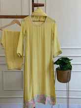 Viscous organza multicolor handworked suit-with color options