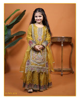 Kids party wear -ready to wear D.NO.A14