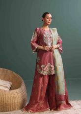 Luxurious Tissue Silk Embroidered Suit - Pehnava Lawns