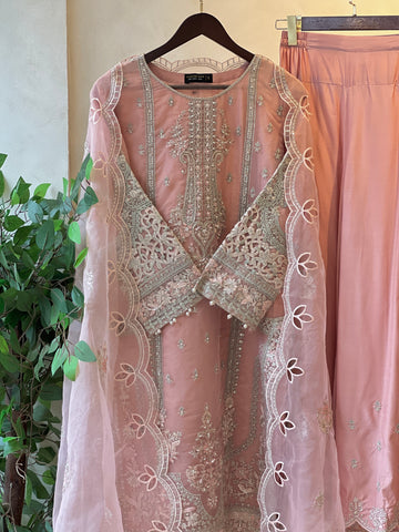 Sadabahar Organza Heavy Handworked Suit