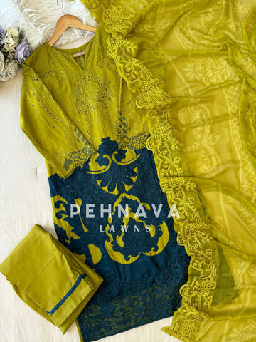 Multi Shaded Suit With Appliqué Design-1286D