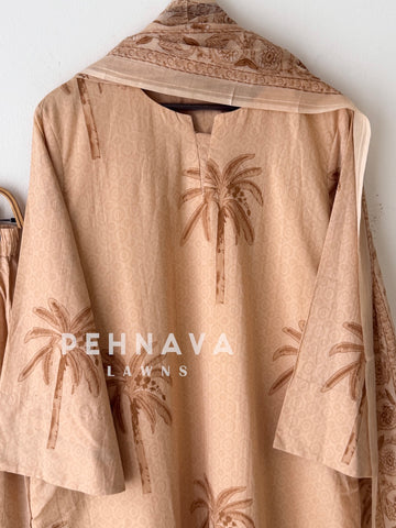 Daily Wear Printed Cotton Set-B245