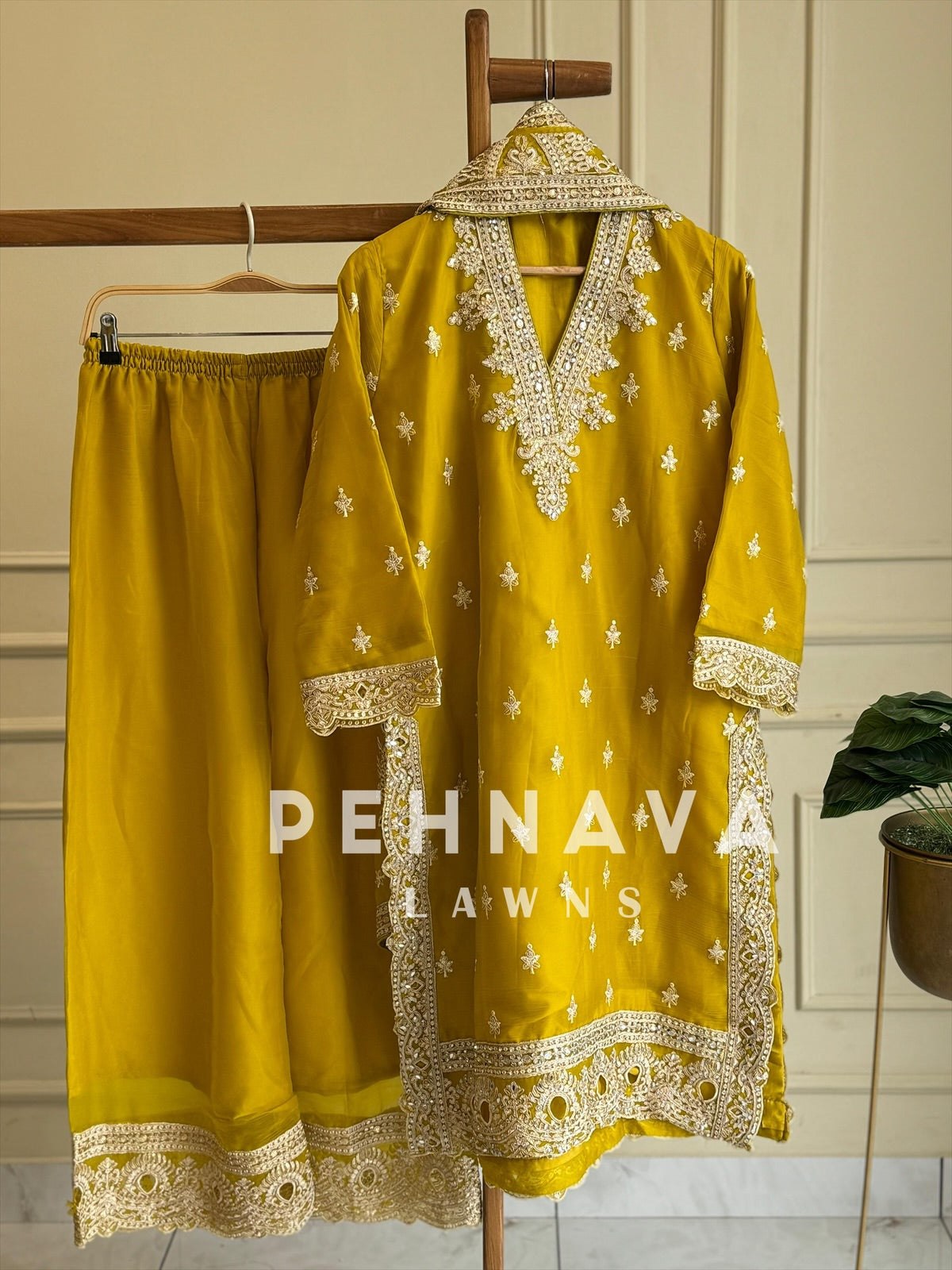 Stunning Chiffon Party Wear Suit-5277