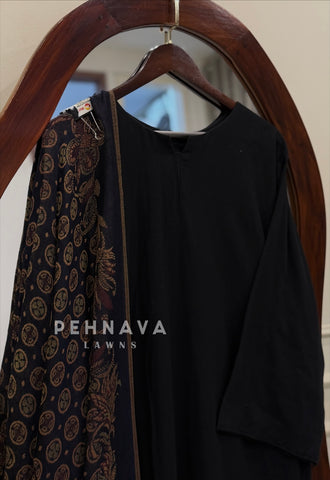 Pashmina Dupatta Suit Set