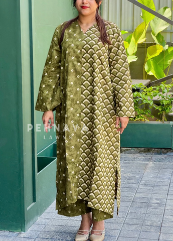 Daily Wear Cotton Printed Three Piece Set-B247
