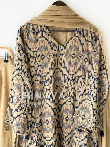 Daily Wear Printed Cotton Set 12870