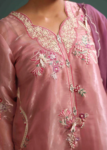 Luxurious sheesha silk embroidered suit-opaline