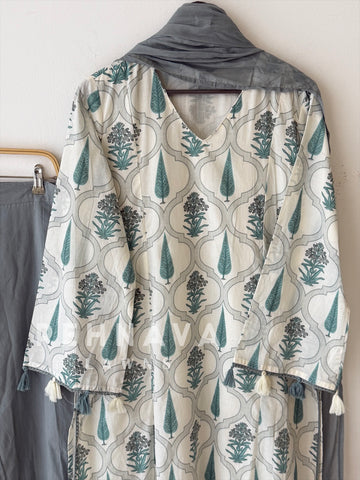 Daily Wear Printed Cotton Set 12870