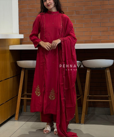 Handworked panel Anarkali Ensemble H-183