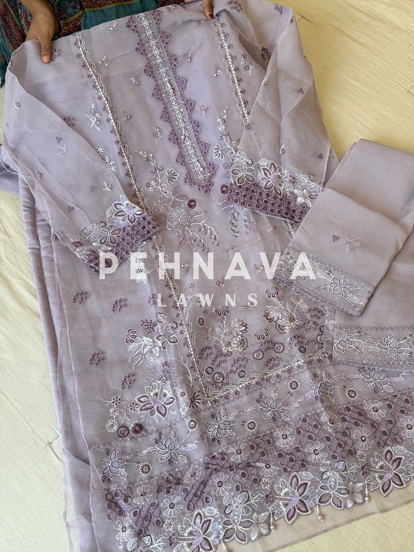 Organza embroidered suit-afroz