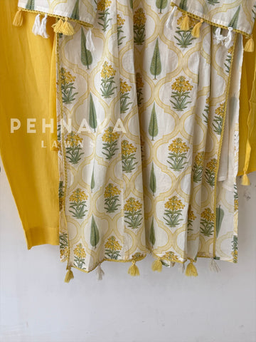 Daily Wear Printed Cotton Set 12870
