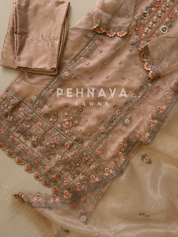 Organza nude pink party wear