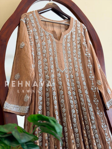 Multi-shade Chikankari Embroidered Ensemble