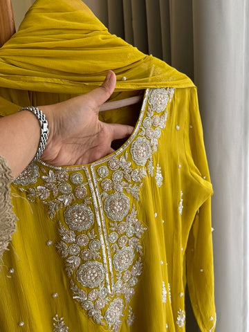 Handworked Chinnon Panel Cut Anarkali Suit