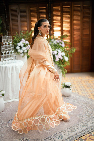 Dhanak Three piece luxurious suit DL-0330