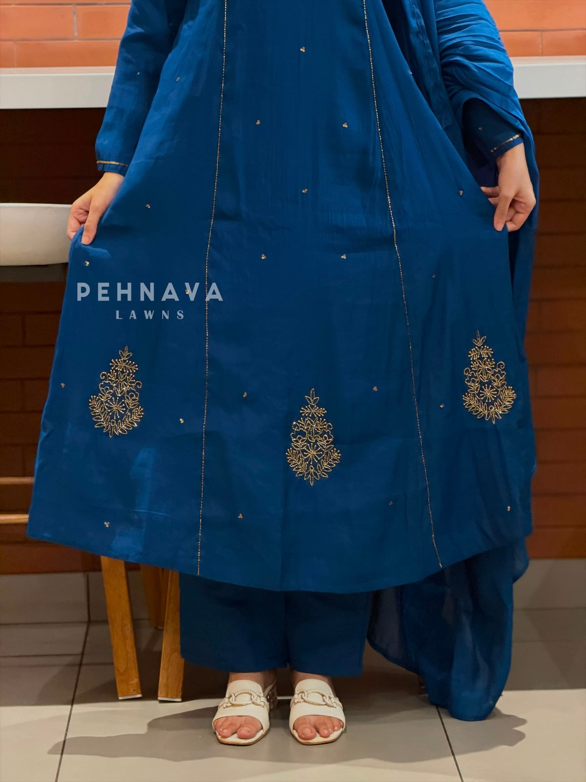 Handworked panel Anarkali Ensemble H-183