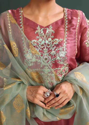 Luxurious Tissue Silk Embroidered Suit