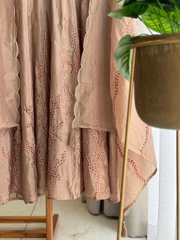 Classic Festive Anarkali Suit with Fine Embroidery