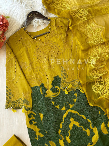 Multi Shaded Suit With Appliqué Design 1286