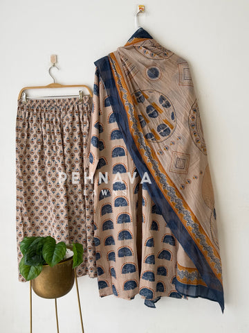 Daily Wear Printed Cotton Set