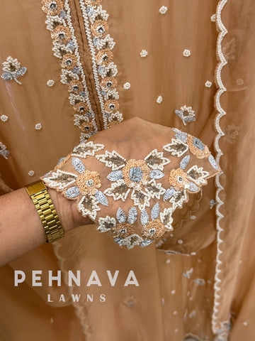 Semi-Stitched Chiffon Suit, Organza Dupatta