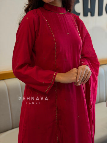 Handworked panel Anarkali Ensemble H-183