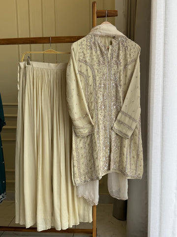 Heavily Handworked Partywear Suit