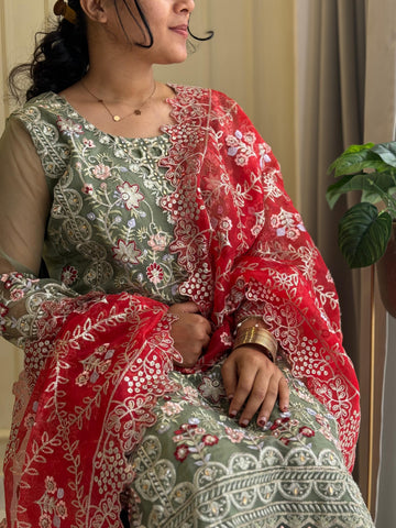 Party wear Organza Suit