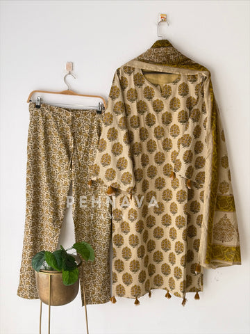 Daily Wear Printed Cotton Set 12870