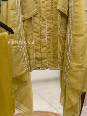 Tissue Handworked Stitched Suit-322