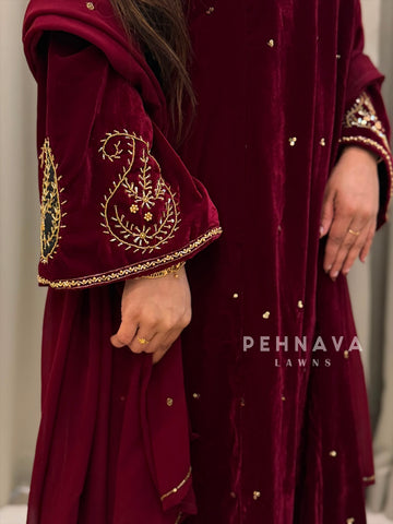 Velvet Handworked suit