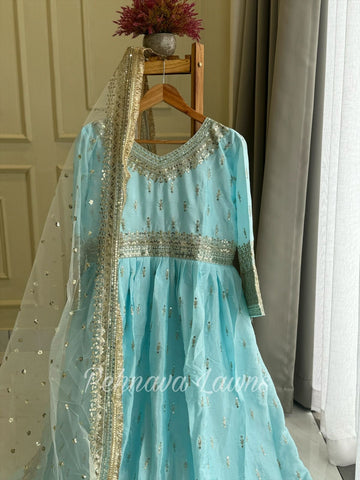 Premium Party Wear Gown