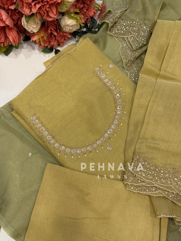 Tissue Handworked Unstitched Suit-302