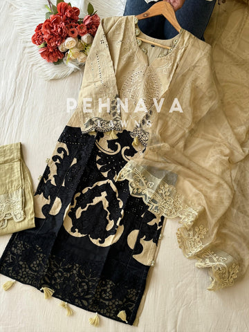 Multi Shaded Suit With Appliqué Design-1286D