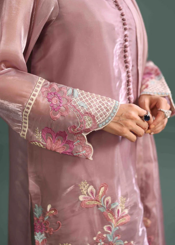 Luxurious Tissue silk Embroidered Suit - Serene