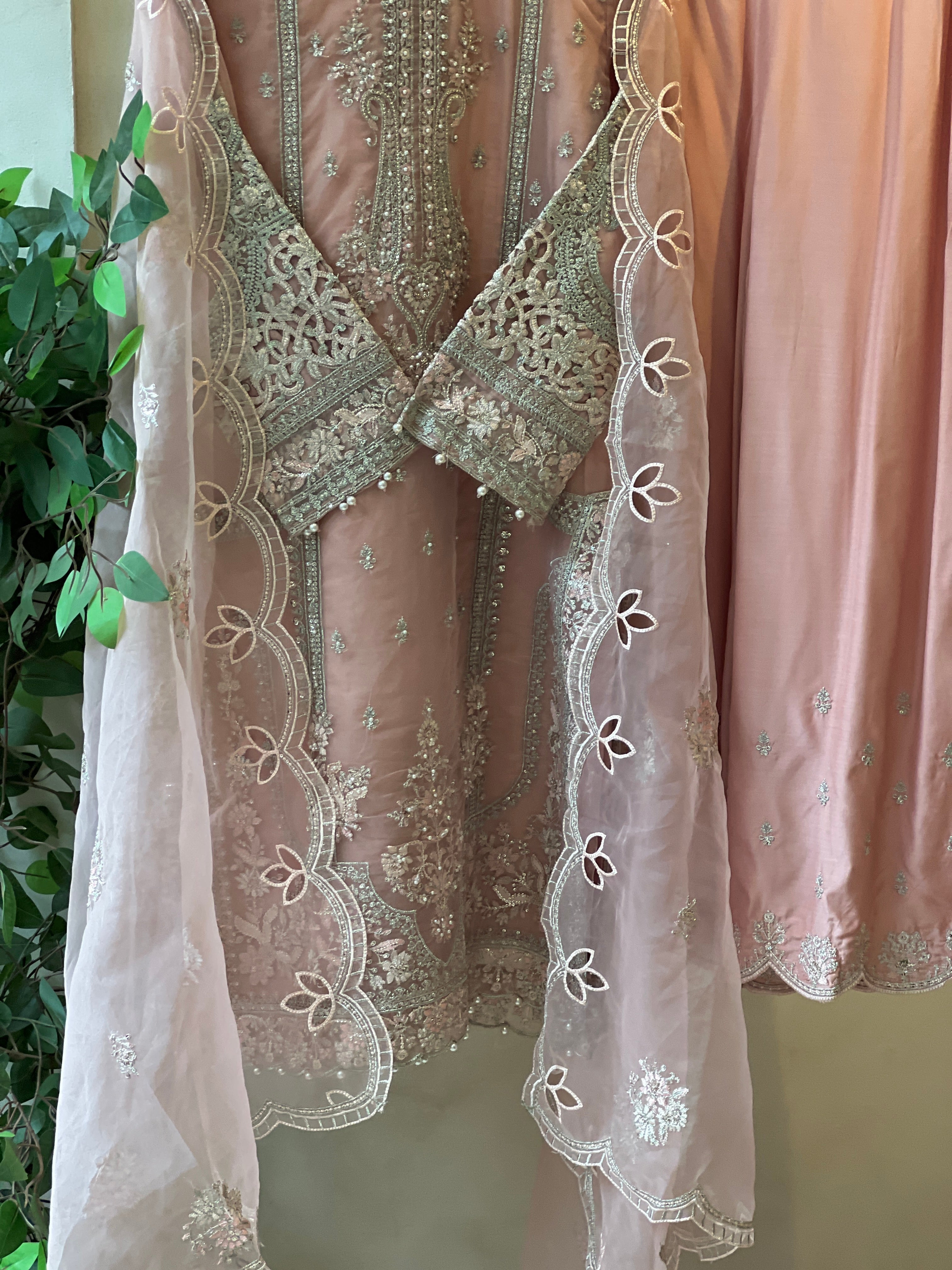 Sadabahar Organza Heavy Handworked Suit