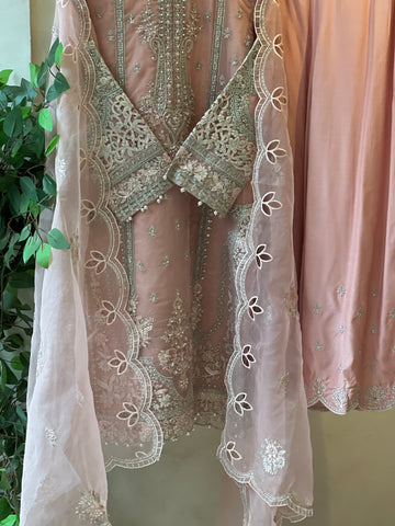 Sadabahar Organza Heavy Handworked Suit