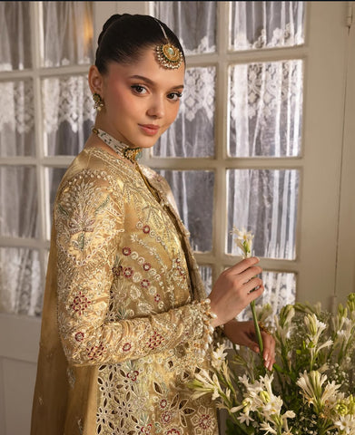 The Premium Lehenga Suit -GOLDVEIL