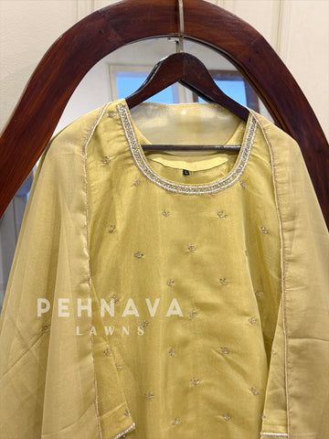 Tissue Handworked Stitched Suit-RR335