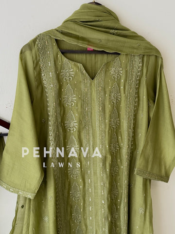 Embroidered Panel Imported Ensemble-13154