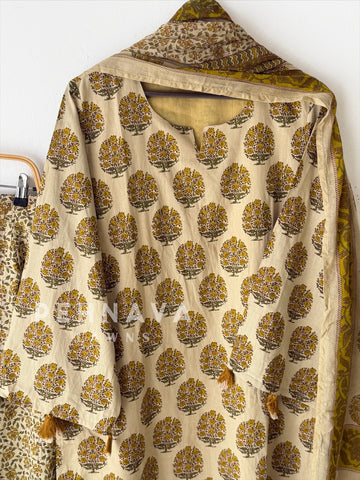 Daily Wear Printed Cotton Set 12870