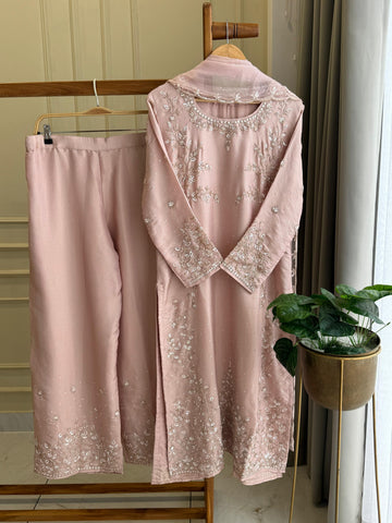 Tissue Handworked Salwar Kameez