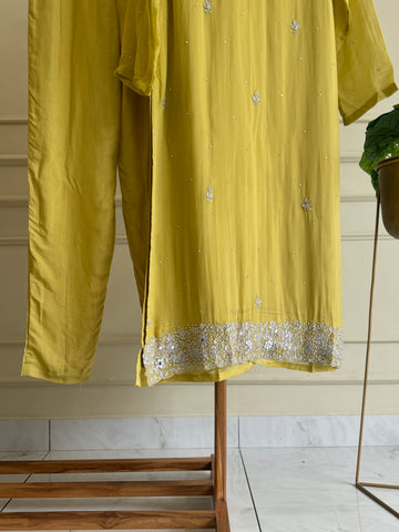 Viscous organza handworked suit-with color options (light)