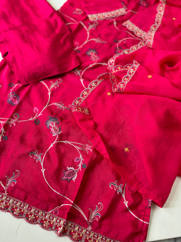 Silk hand detailed suit with orgnaza scalloped dupatta