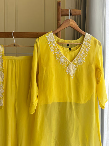 Indo-Western Hand-worked 2pc suit-34789