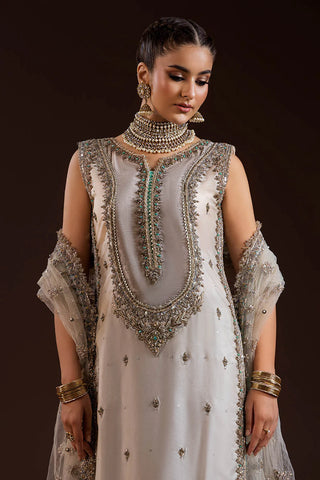 Velvet Yoke Embroidered Suit - Pehnava Lawns