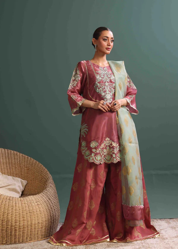 Luxurious Tissue Silk Embroidered Suit