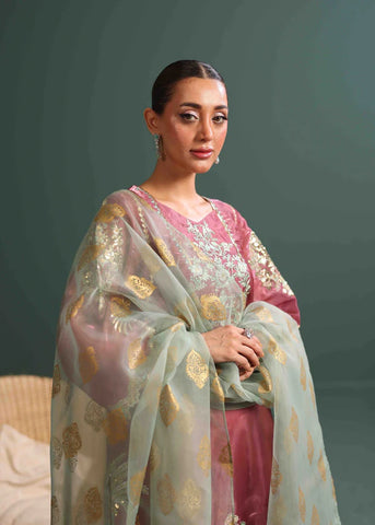 Luxurious Tissue Silk Embroidered Suit