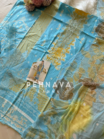 Trendy Pakistani Wear Featuring Embroidery Patches-3807