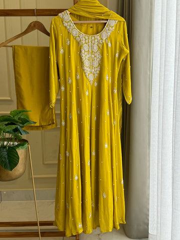 Handworked Chinnon Panel Cut Anarkali Suit